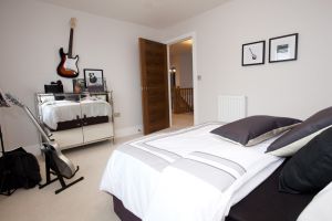 chestnut shadwell 55 sm.jpg